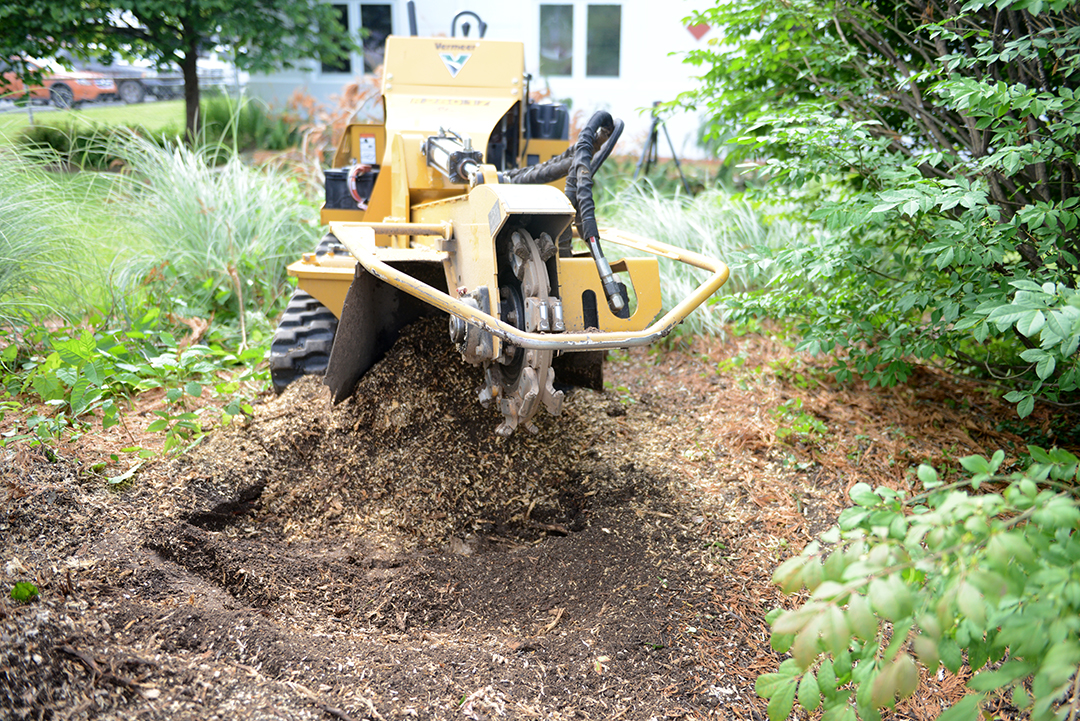 stump grinder sits next to the hole where the tree stump was.