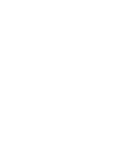 Bear Rental