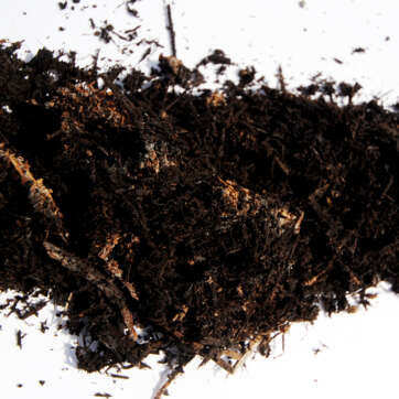 Black Mulch