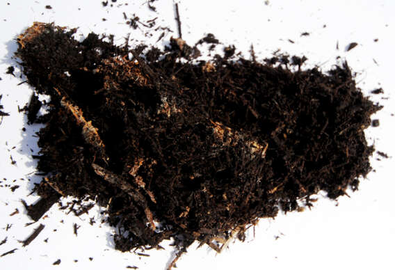 Black Mulch