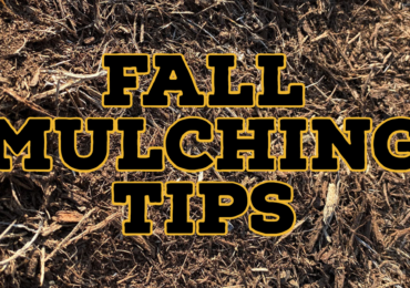 Fall Mulching Tips