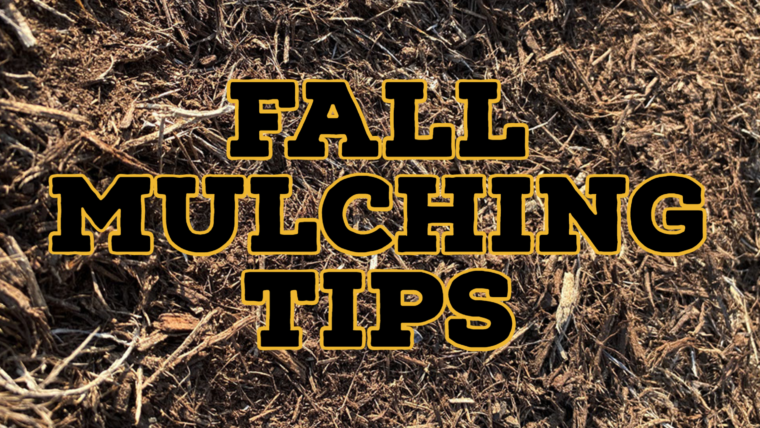 Fall Mulching Tips