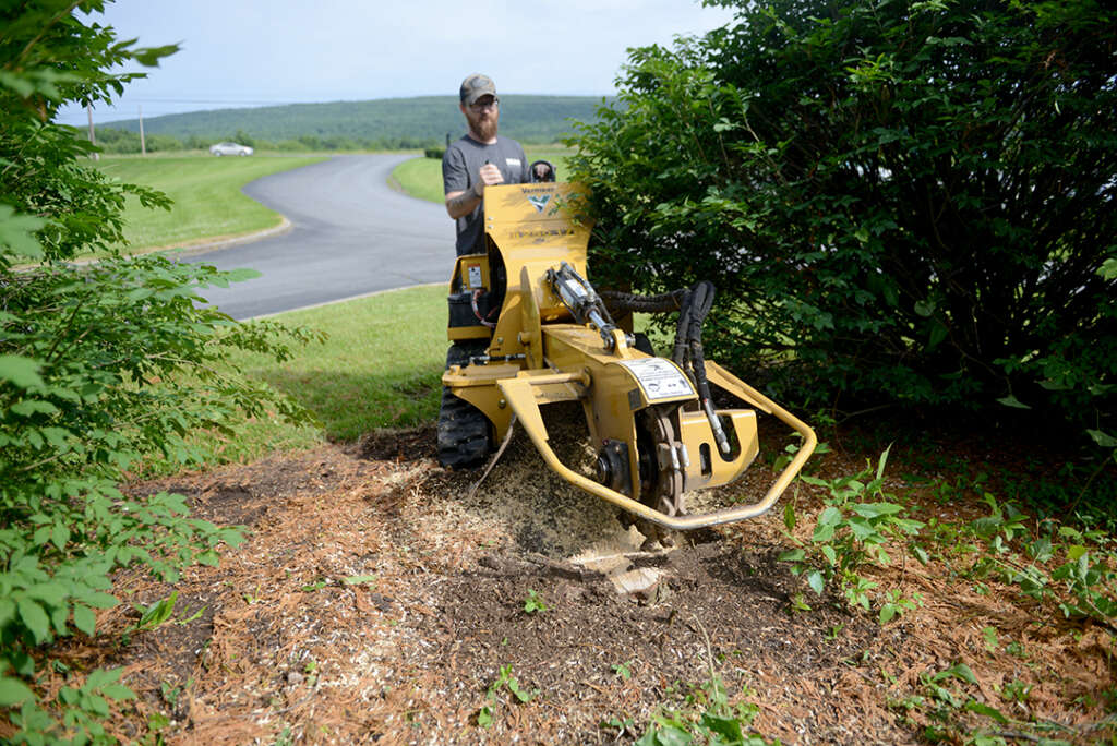 First pass over a stump with a stump grinder.