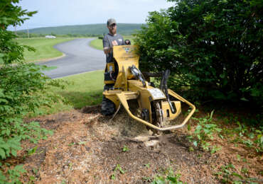 First pass over a stump with a stump grinder.