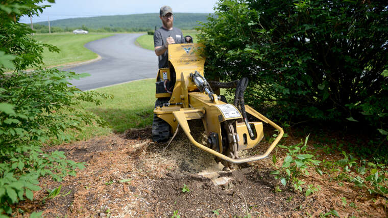 First pass over a stump with a stump grinder.