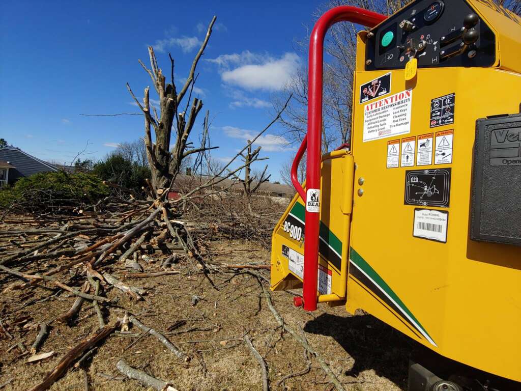 Fallen tree branches and stump grinder