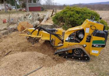 Stump grinder with fallen tree