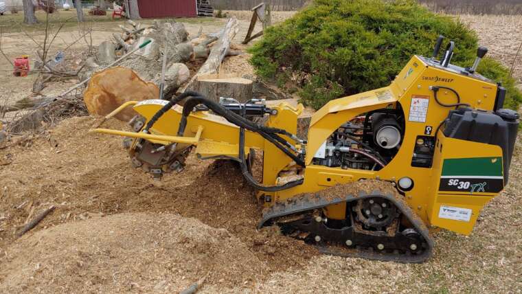 Stump grinder with fallen tree