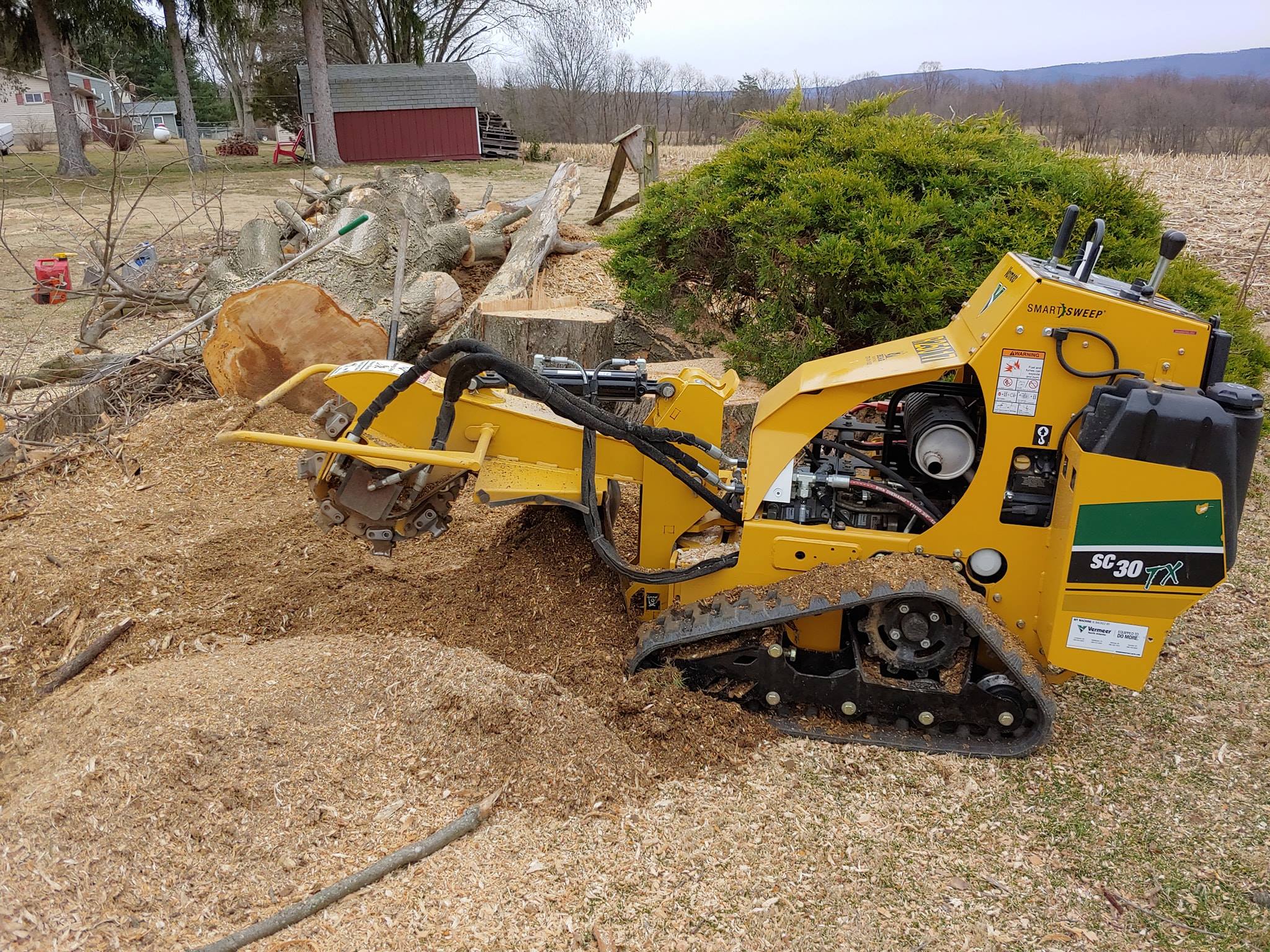 Stump grinder with fallen tree